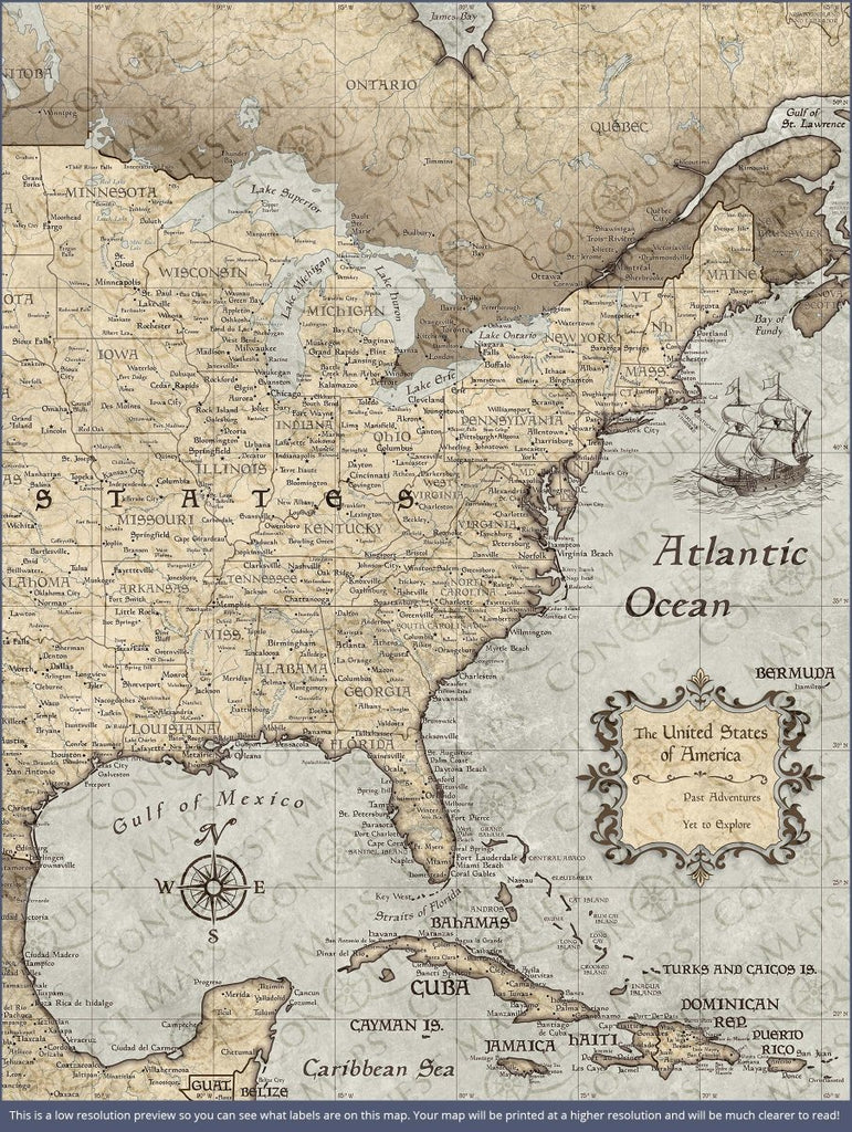 Push Pin USA Pin Board Map - Rustic Vintage - Pins Included! - Liza Pruitt