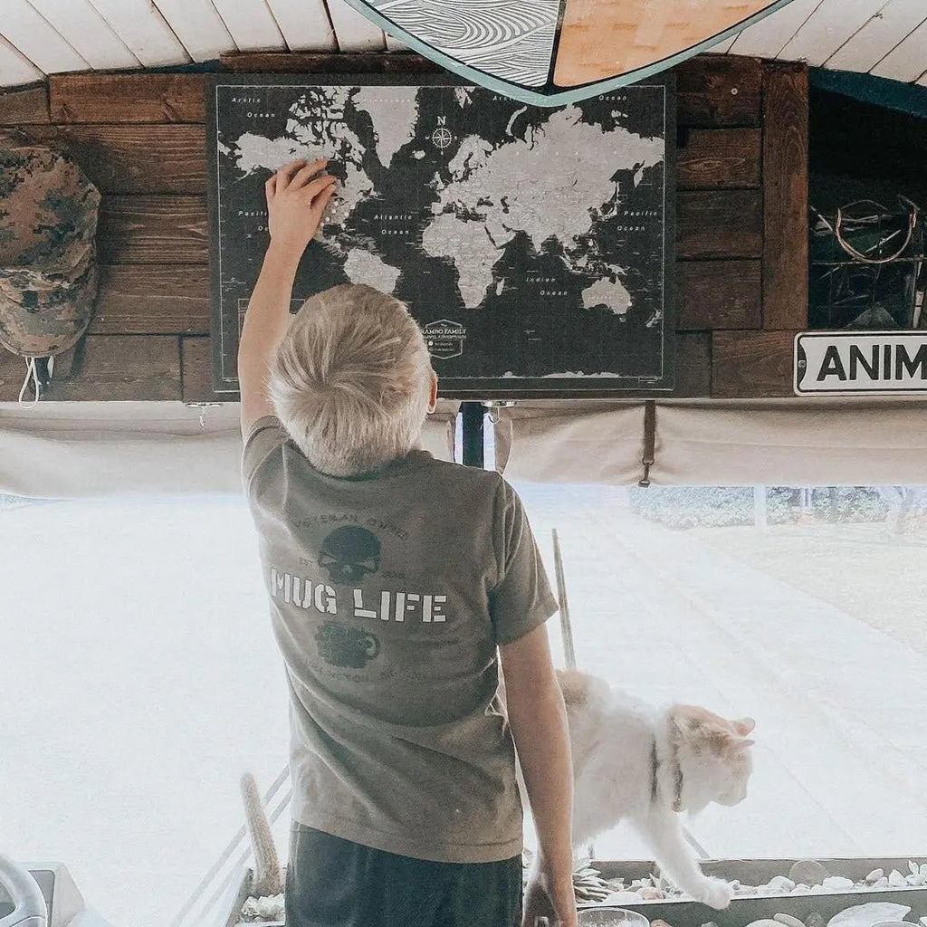 Push Pin World Map Pin Board - Modern Slate - Pins Included! - Liza Pruitt