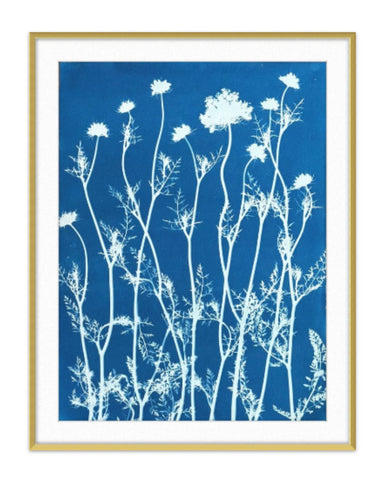 Queen Anne's Lace Garden | 24" h x 18" w - Liza Pruitt