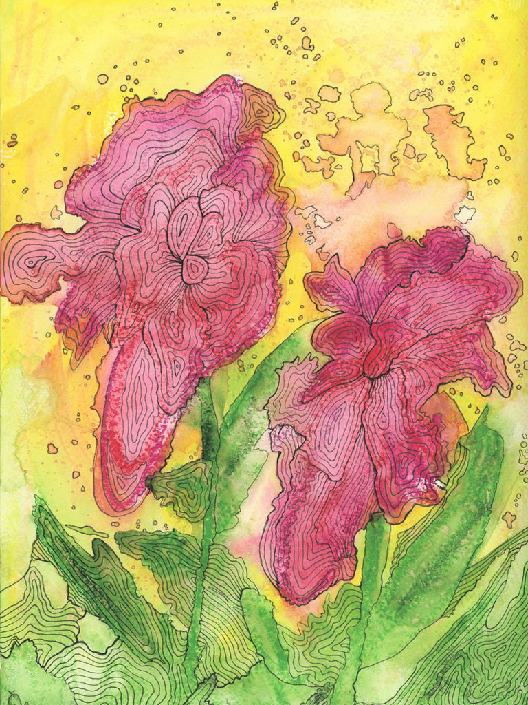 Red Ranunculus - Open Edition Canvas Print - Liza Pruitt