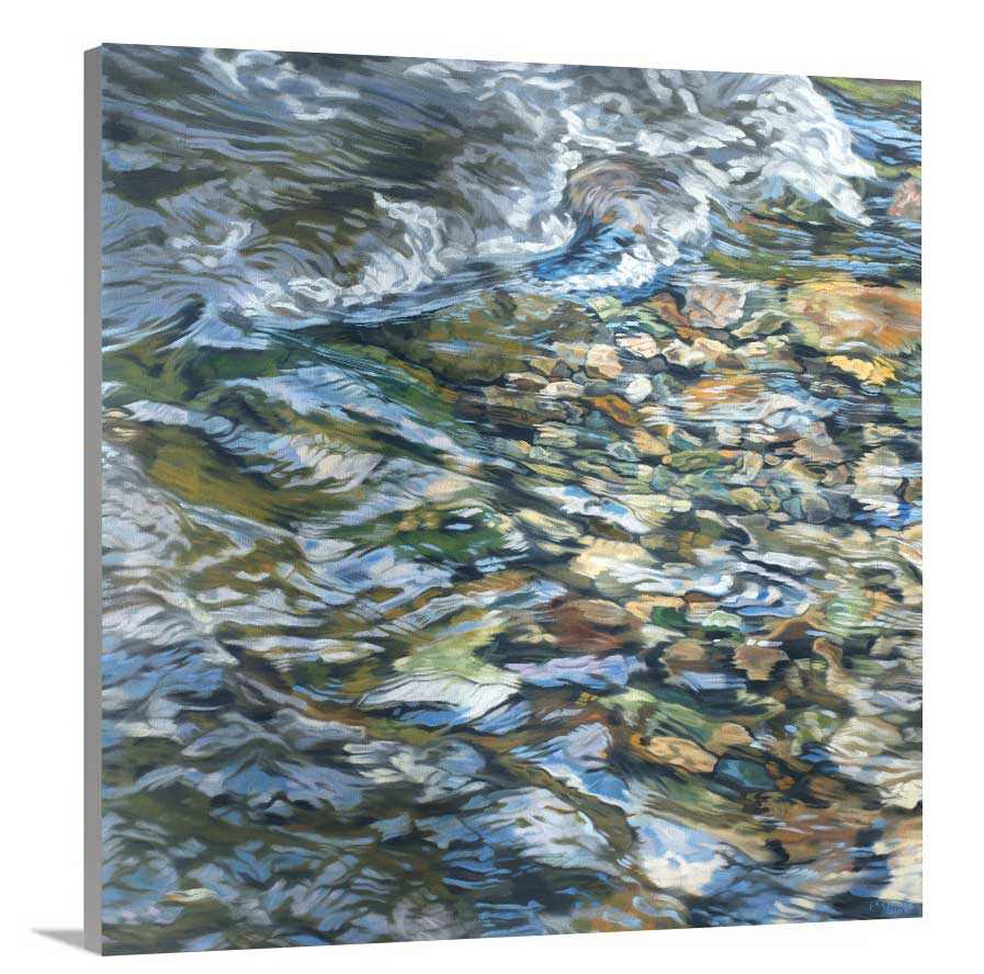 Riverbed 3 - Limited Edition Canvas Print - Liza Pruitt