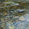 Riverbed - Open Edition Canvas Print - Liza Pruitt