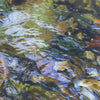 Rocky River 7 - Open Edition Canvas Print - Liza Pruitt