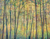 Saccades XII - Limited Edition Canvas Print - Liza Pruitt