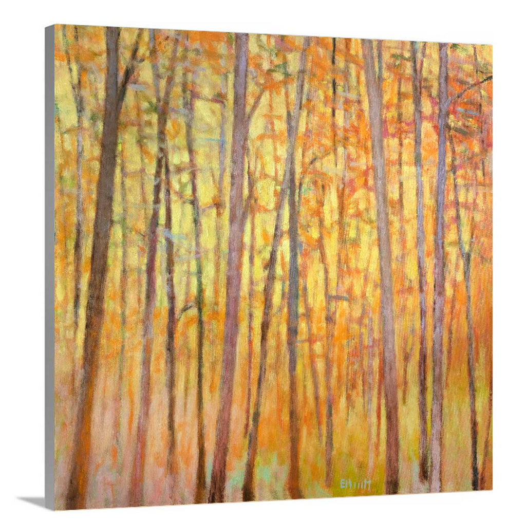 Saccades XIII - Limited Edition Canvas Print - Liza Pruitt