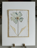 Sea Glass | 12" h x 9" w - Liza Pruitt