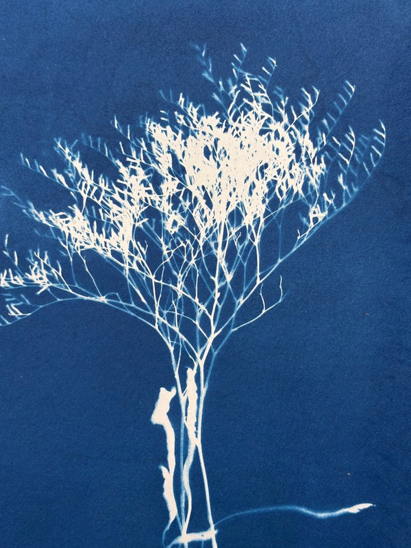 Sea Lavender Silhouette | 24" h x 18" w - Liza Pruitt