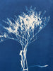 Sea Lavender Silhouette | 24" h x 18" w - Liza Pruitt