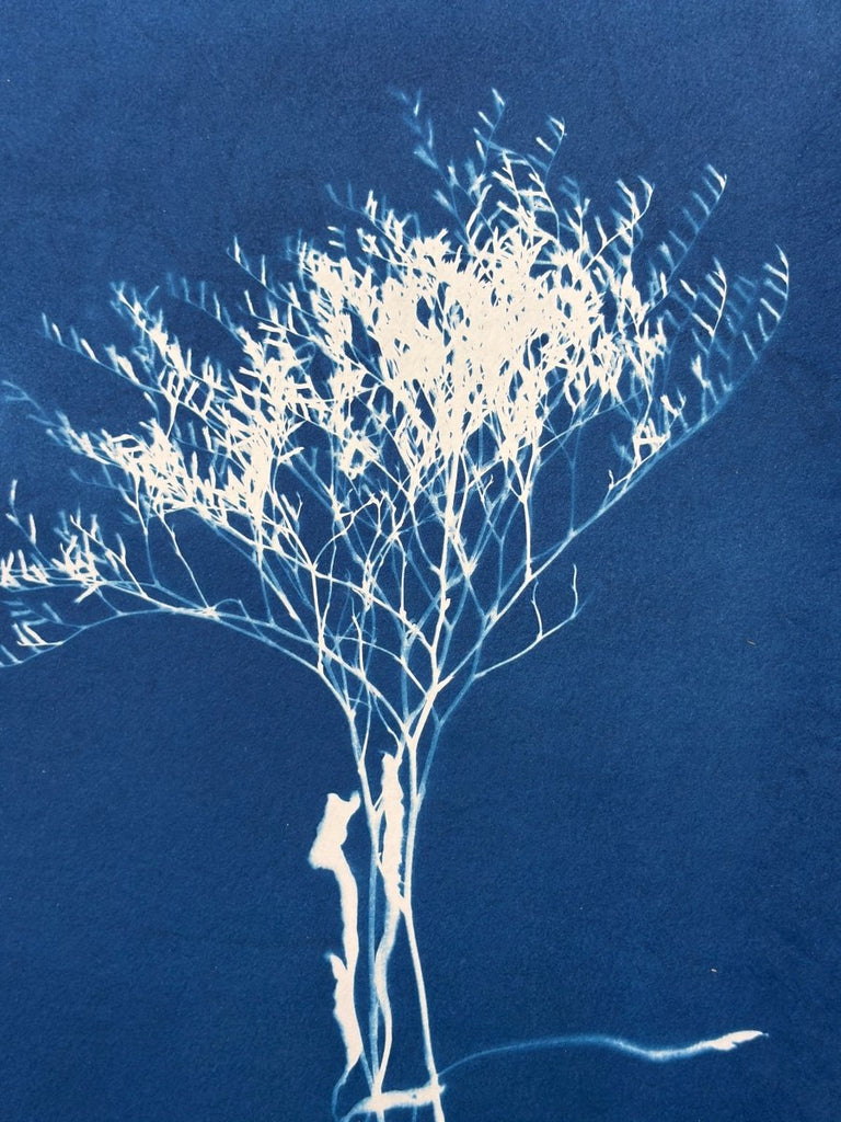 Sea Lavender Silhouette | 24" h x 18" w - Liza Pruitt