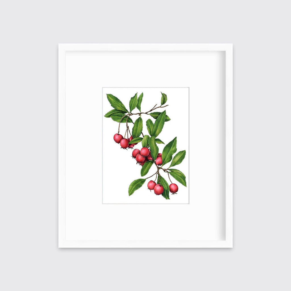 September - Open Edition Paper Print - Liza Pruitt