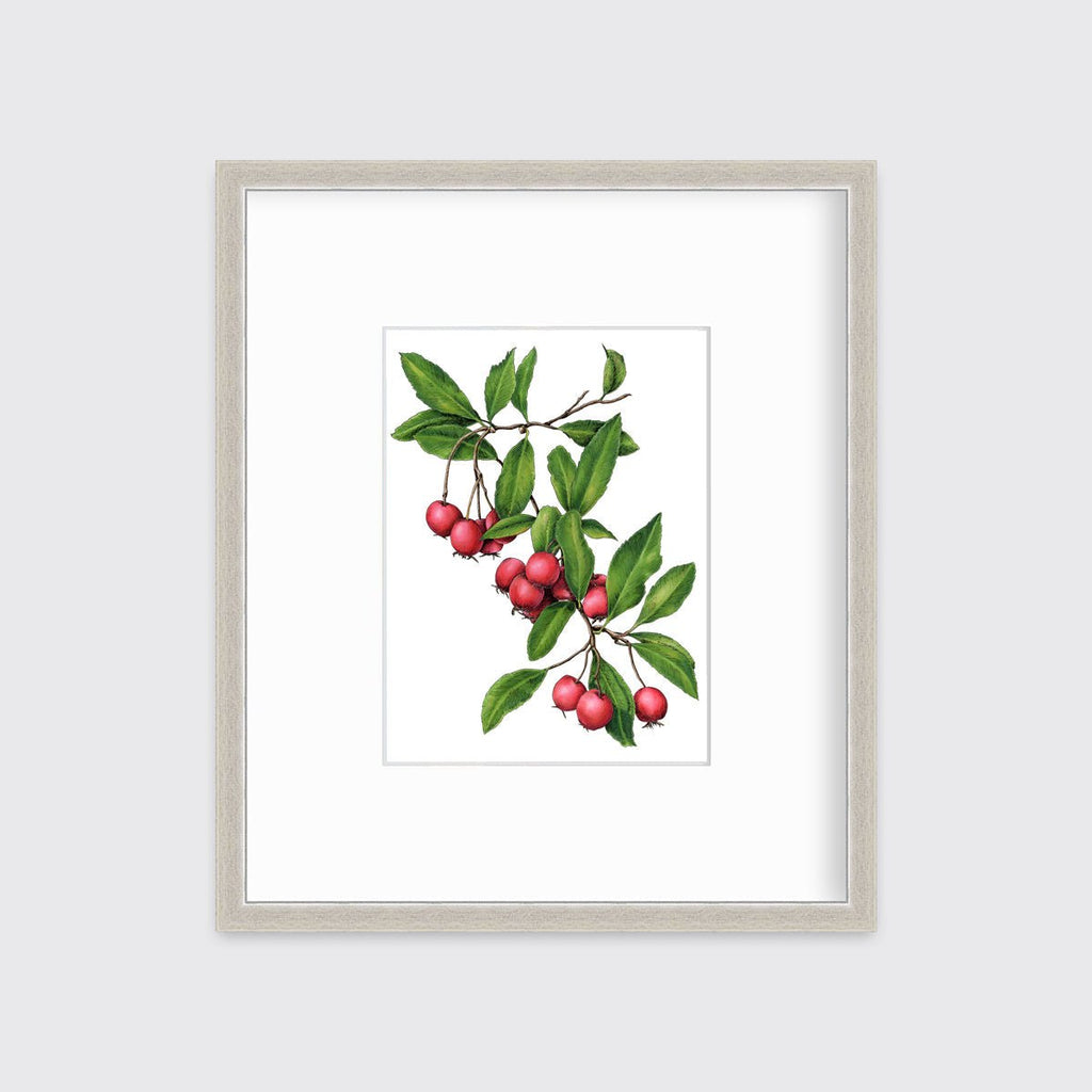 September - Open Edition Paper Print - Liza Pruitt