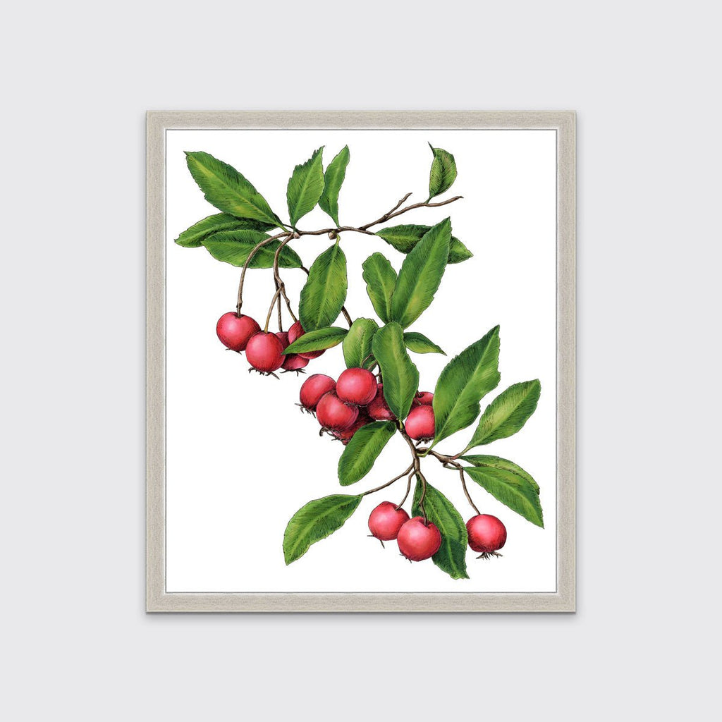 September - Open Edition Paper Print - Liza Pruitt
