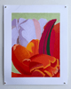 Shades of Red, with Purple and Green | 24" h x 16" w - Liza Pruitt