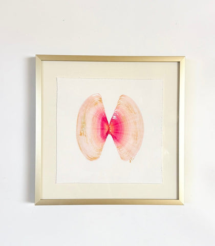 Shell Pair 1 | 8" h x 8" w | Framed - Liza Pruitt