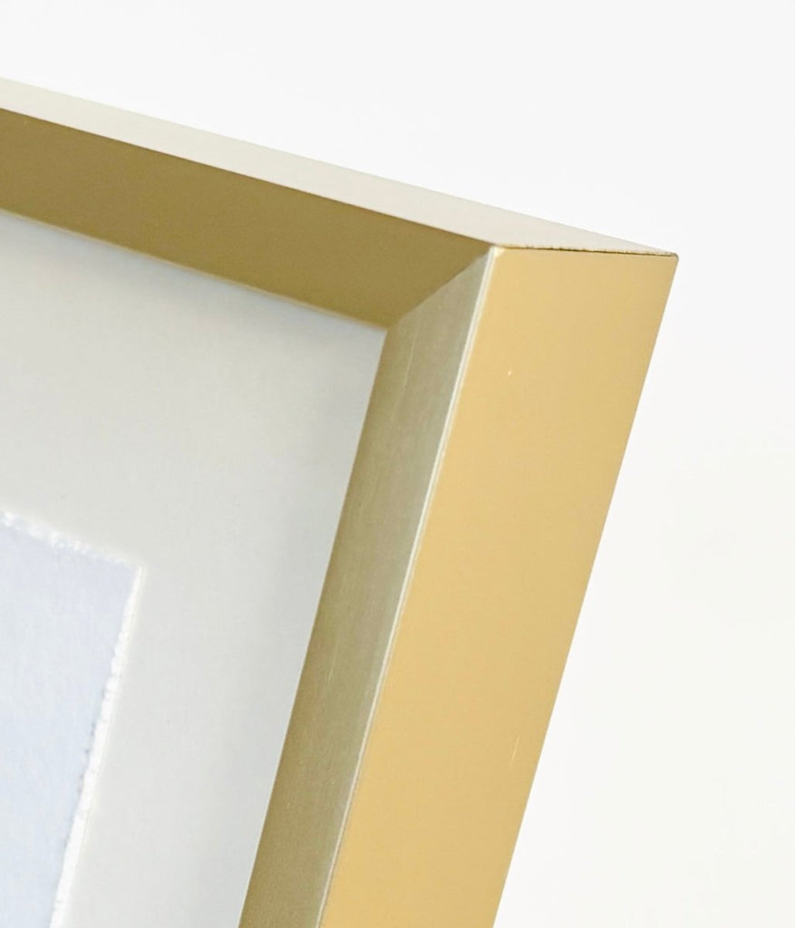 Shell Pair 8 | 8" h x 8" w | Framed - Liza Pruitt