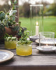 Silo Glassware - Set of 6 - Liza Pruitt