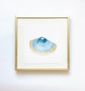 Single Shell 1 | 8" h x 8" w | Framed - Liza Pruitt