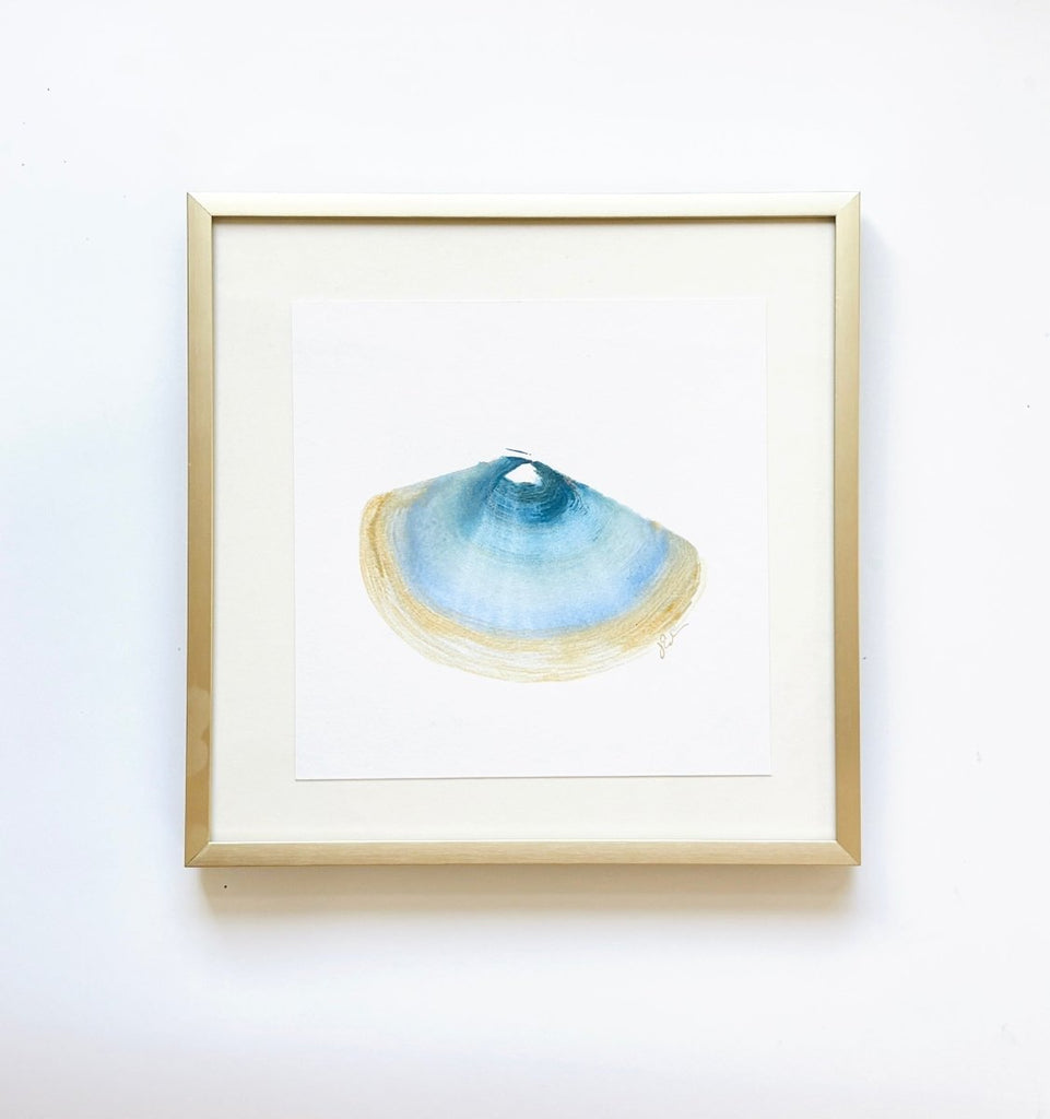 Single Shell 1 | 8" h x 8" w | Framed - Liza Pruitt
