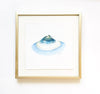 Single Shell 3 | 8" h x 8" w | Framed - Liza Pruitt