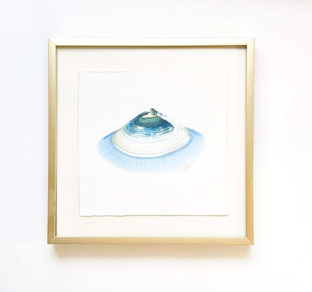 Single Shell 3 | 8" h x 8" w | Framed - Liza Pruitt