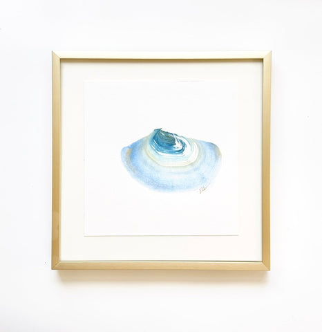 Single Shell 8 | 8" h x 8" w | Framed - Liza Pruitt
