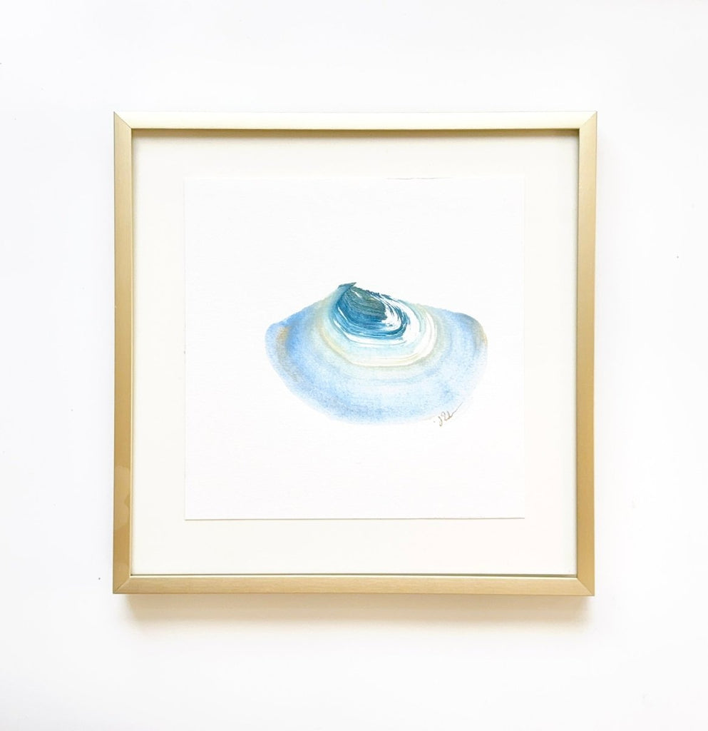 Single Shell 8 | 8" h x 8" w | Framed - Liza Pruitt