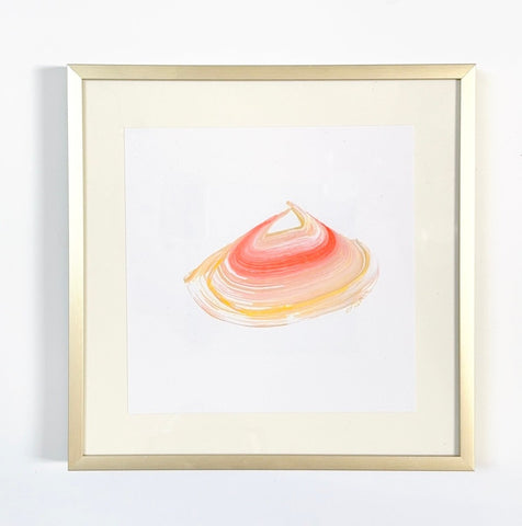 Single Shell 9 | 8" h x 8" w | Framed - Liza Pruitt