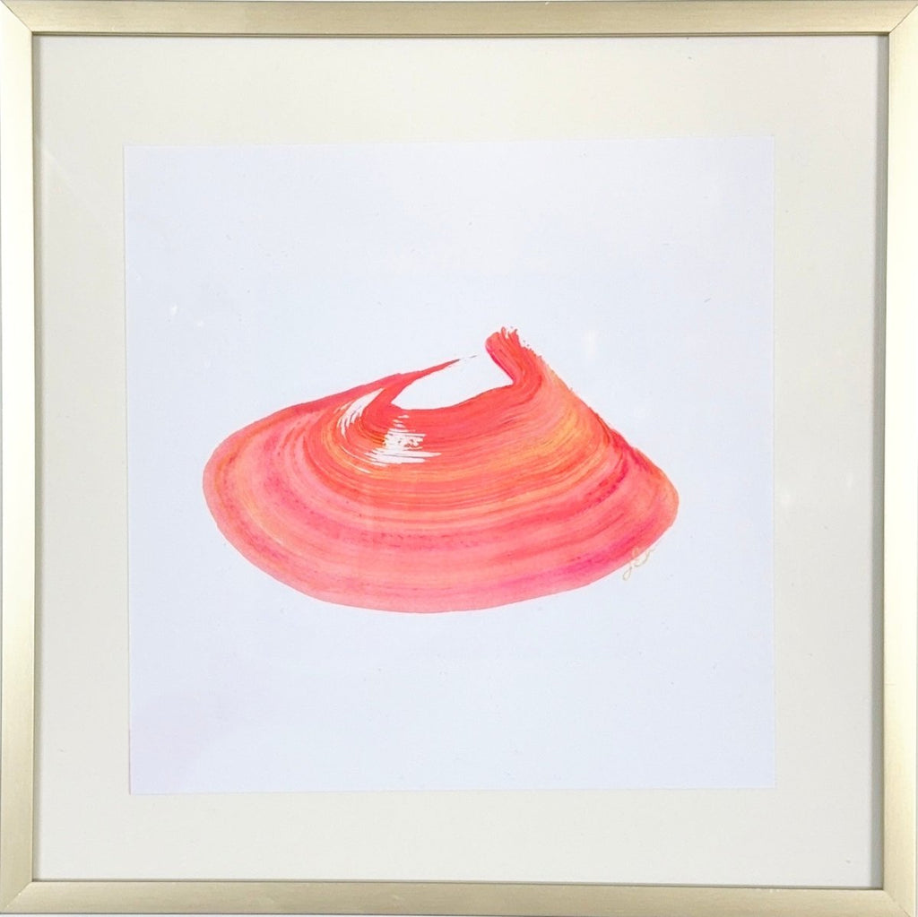 Single Shell in Coral | 8" h x 8" w | Framed - Liza Pruitt