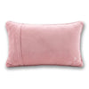 Sleigh Needlepoint Pillow - Liza Pruitt
