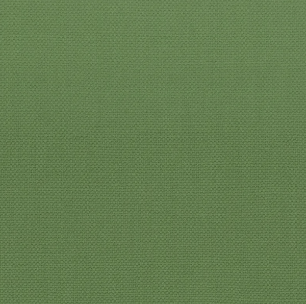 Solid Green with White Mitered Tape Square Pillow - Liza Pruitt