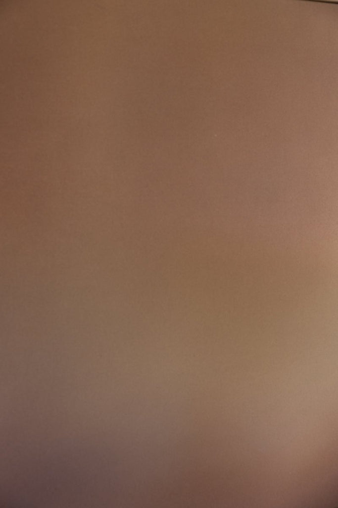 Sonoran II | 30" h x 40" w | Framed - Liza Pruitt