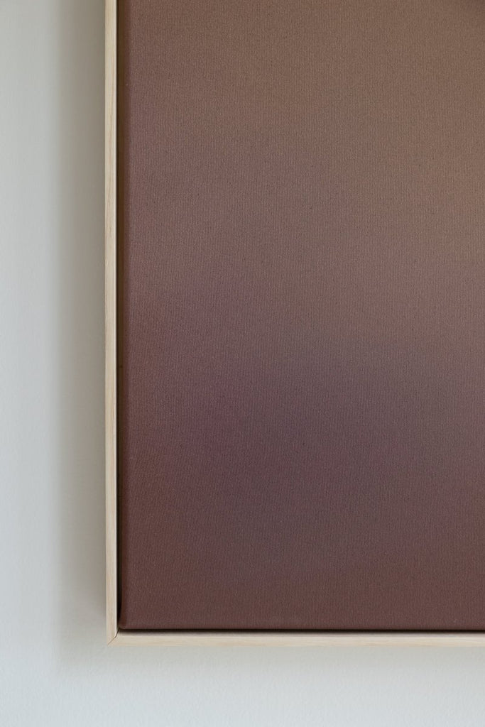 Sonoran II | 30" h x 40" w | Framed - Liza Pruitt