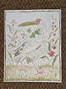 Spoonbill in Pink, Original 16x20 - Liza Pruitt