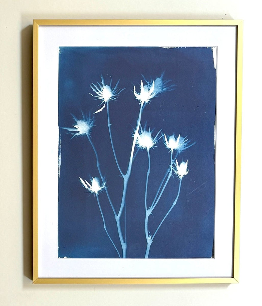 Spring Sea Holly | 19.25" h x 15.25" w | Framed - Liza Pruitt