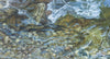 Streambed III - Limited Edition Canvas Print - Liza Pruitt