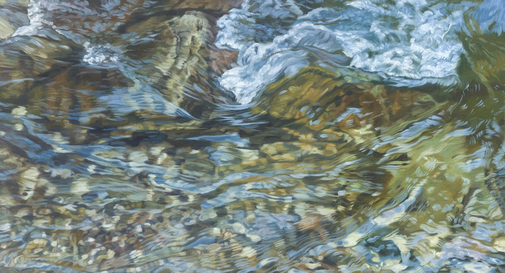 Streambed III - Limited Edition Canvas Print - Liza Pruitt