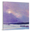 Sun on Snow II - Limited Edition Canvas Print - Liza Pruitt