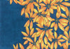 Sun Stars - Open Edition Paper Print - Liza Pruitt