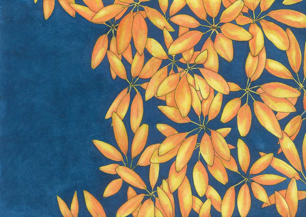 Sun Stars - Open Edition Paper Print - Liza Pruitt