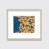 Sun Stars - Open Edition Paper Print - Liza Pruitt