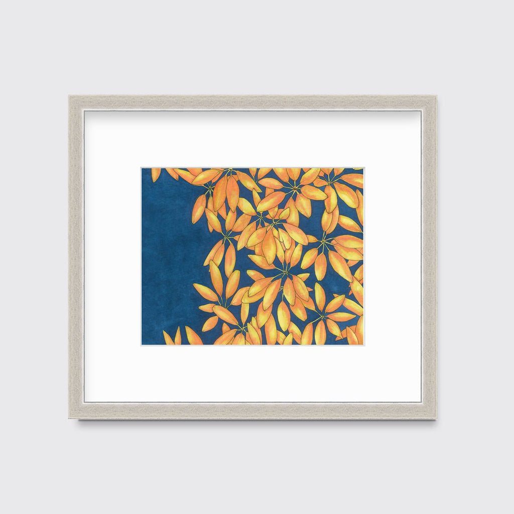 Sun Stars - Open Edition Paper Print - Liza Pruitt