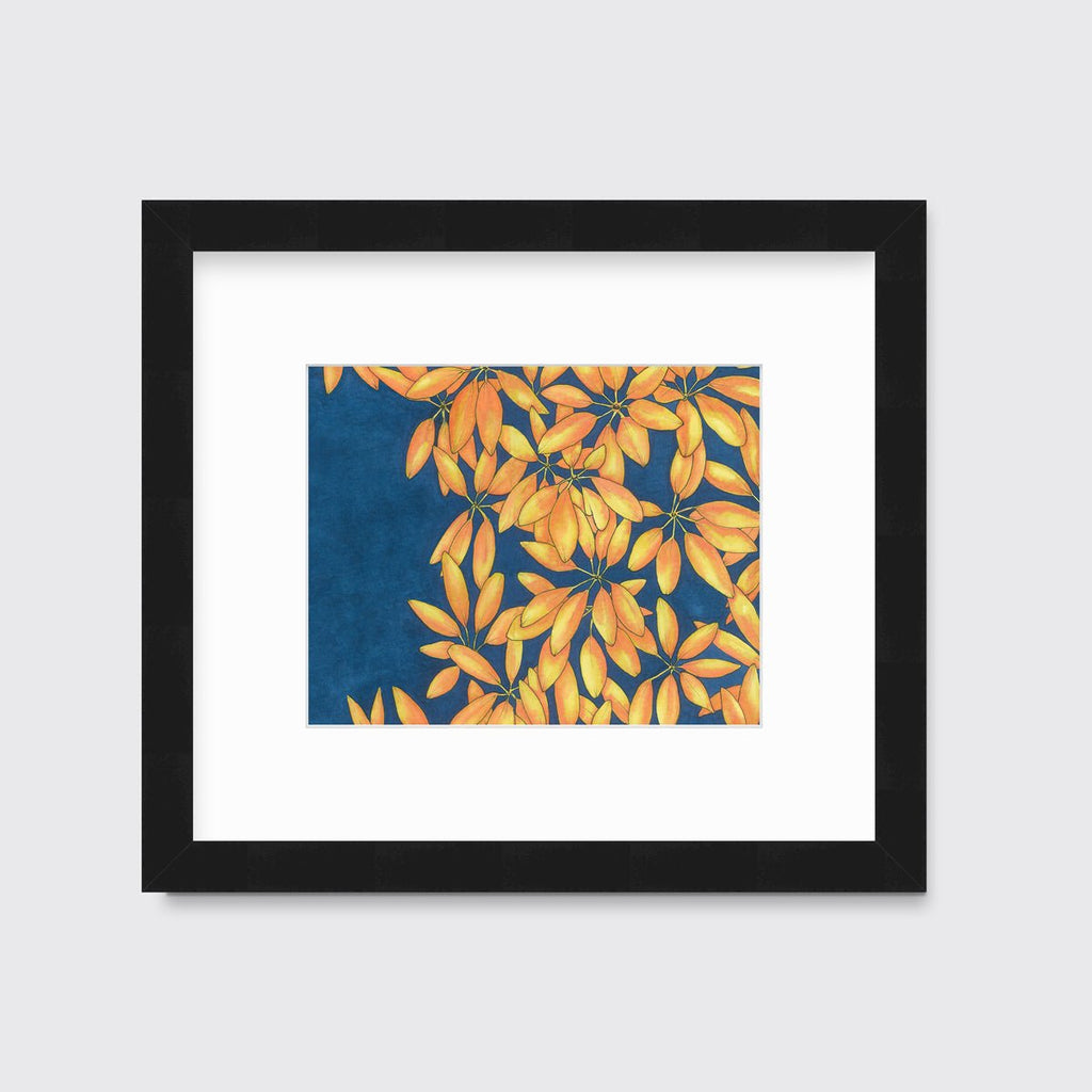 Sun Stars - Open Edition Paper Print - Liza Pruitt