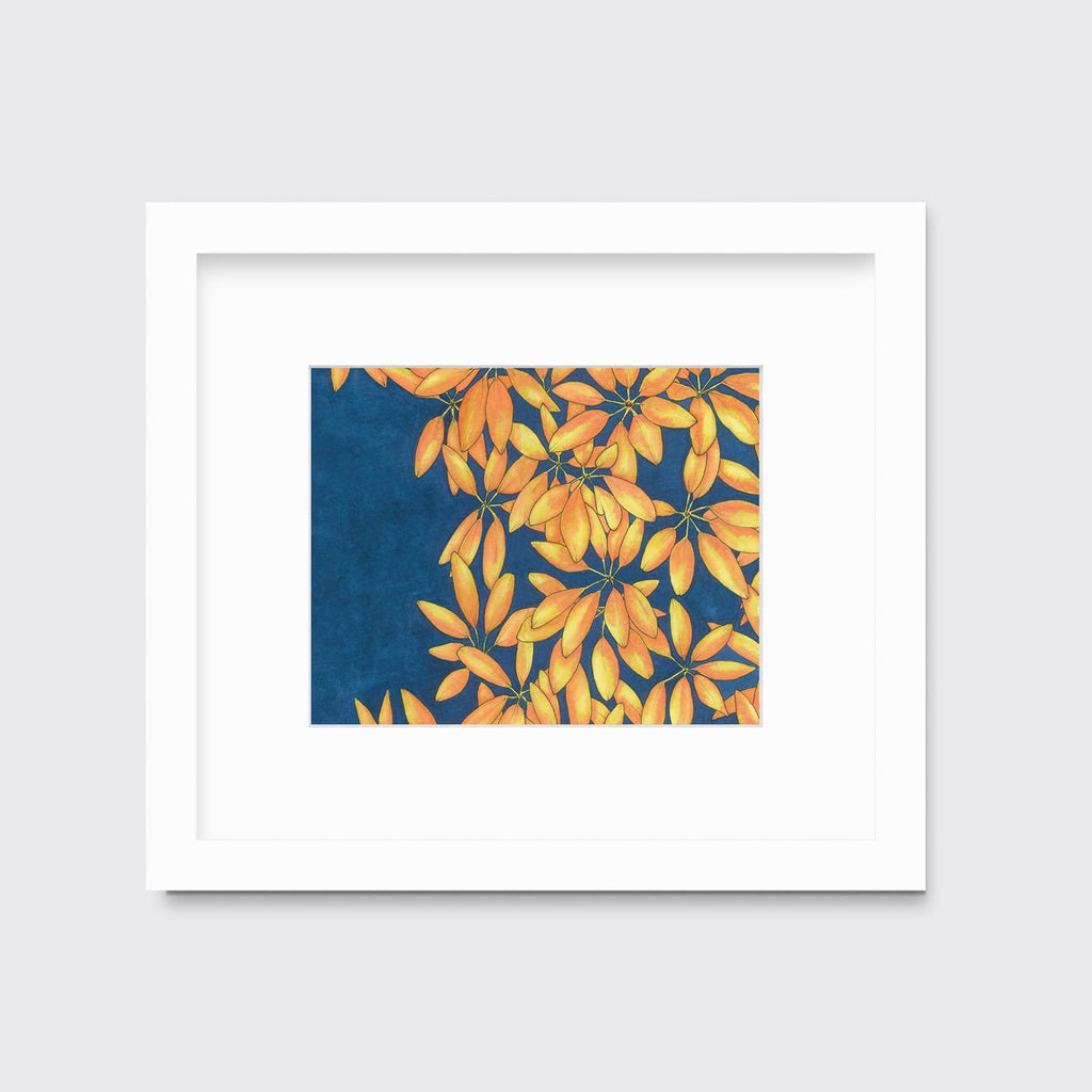 Sun Stars - Open Edition Paper Print - Liza Pruitt