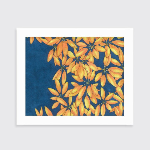 Sun Stars - Open Edition Paper Print - Liza Pruitt