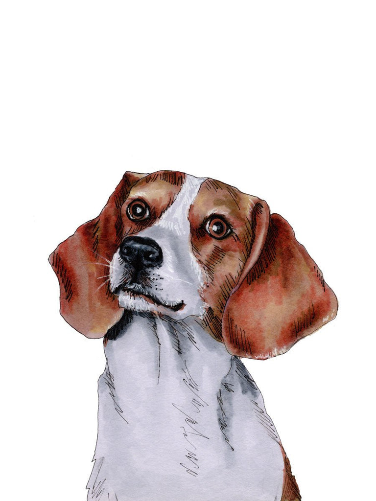 The Beagle - Open Edition Paper Print - Liza Pruitt