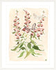 The "Botanical Blush No. 1" Garden Party Series, Fine Art Print - Liza Pruitt