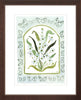 The "Botanical Rainbow Mint" Fine Art Print - Liza Pruitt