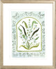 The "Botanical Rainbow Mint" Fine Art Print - Liza Pruitt