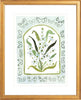 The "Botanical Rainbow Mint" Fine Art Print - Liza Pruitt