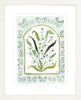 The "Botanical Rainbow Mint" Fine Art Print - Liza Pruitt